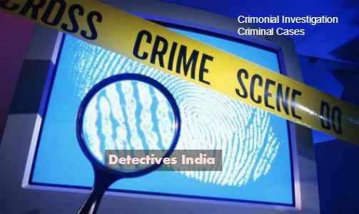 computer forensic training, computer forensic, ,detectives, criminal investigation, criminal cases, Detectives India, security analyst agency
